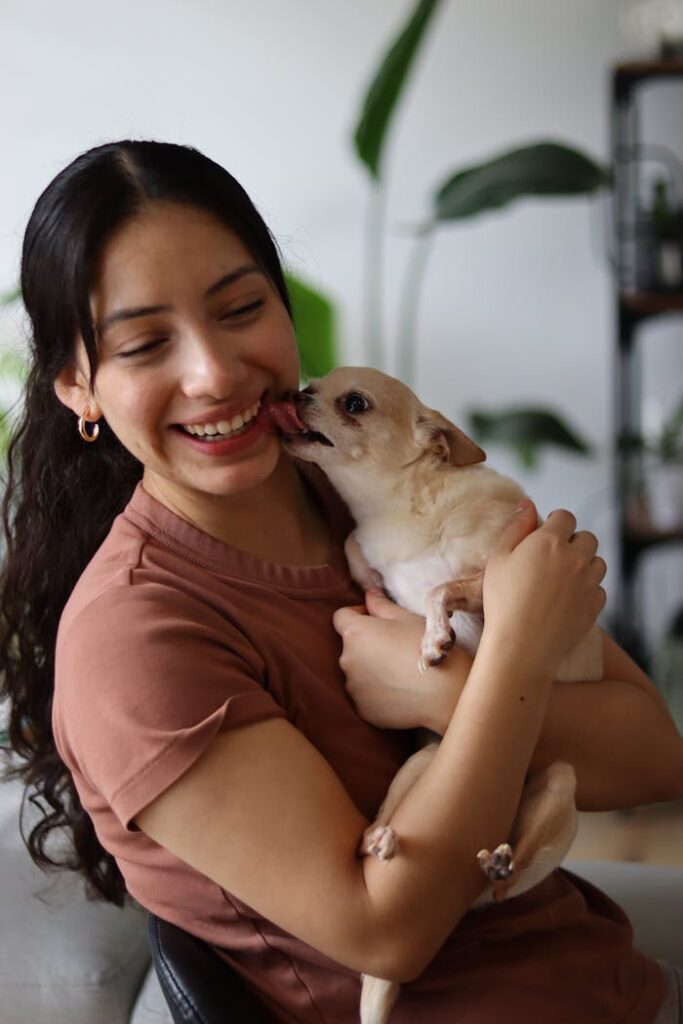 Happy woman shares a joyful moment with her Chihuahua puppy indoors.